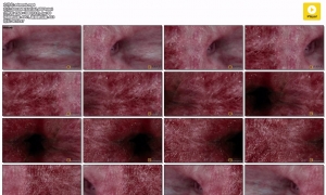 ԷѽתAdultingWOMB Inside View Heartbeat 4k