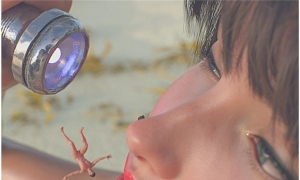 Flagg3DBeach Device Redux