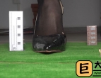 С˫˲Ȳ