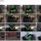 【自费禁转】【Byletto】Green growth drive ANIMATION
